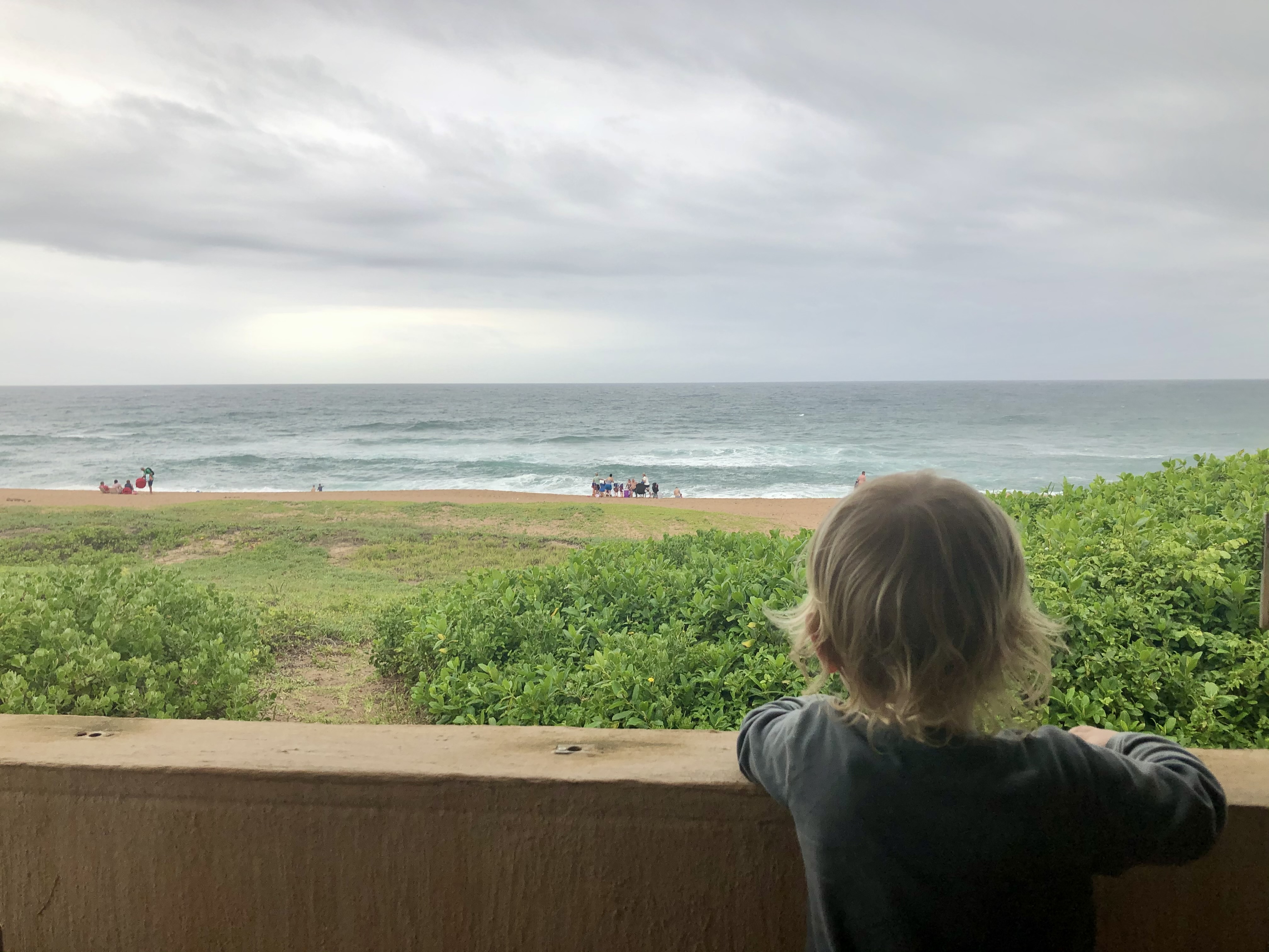Shuttered window seat at The Beach Cottage looking over dune grass towards the sea
